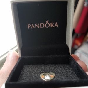 Pandora Charm